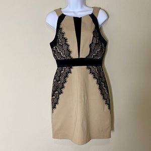 Black and Tan Dress by Teeze Me
